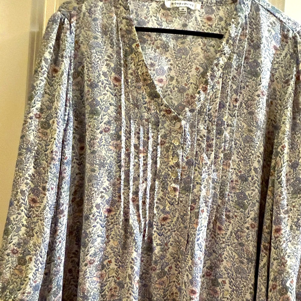 Rose and Olive light blue blouse 2X